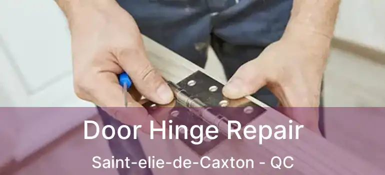  Door Hinge Repair Saint-elie-de-Caxton - QC