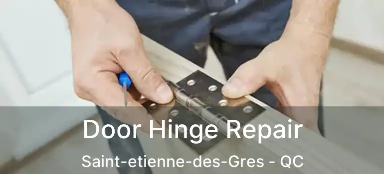  Door Hinge Repair Saint-etienne-des-Gres - QC