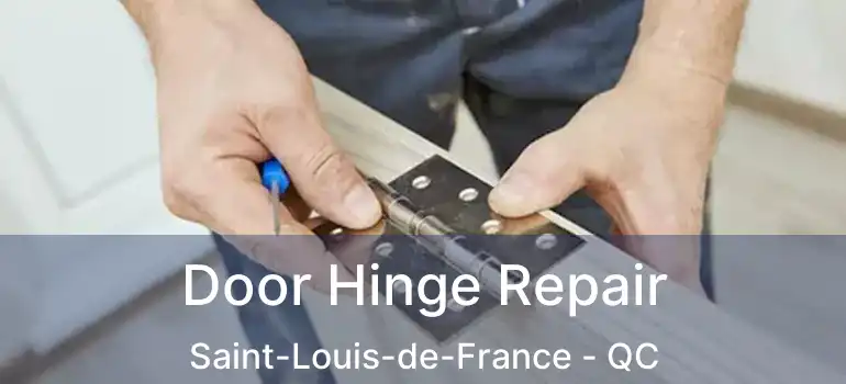 Door Hinge Repair Saint-Louis-de-France - QC