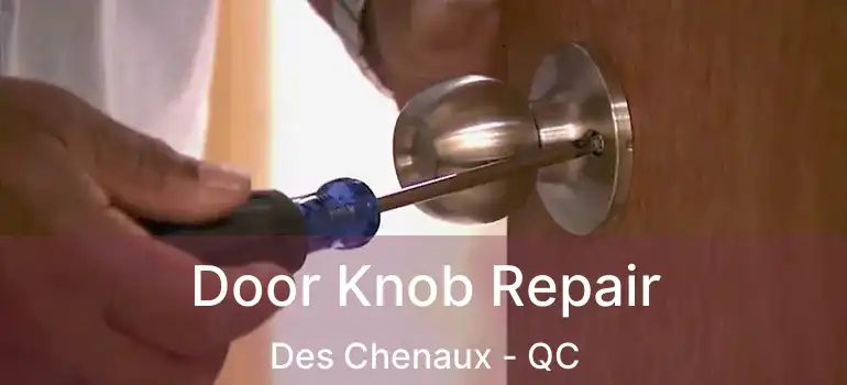  Door Knob Repair Des Chenaux - QC