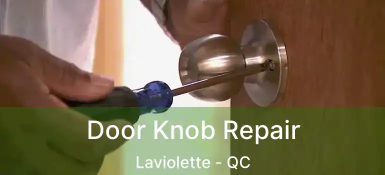  Door Knob Repair Laviolette - QC
