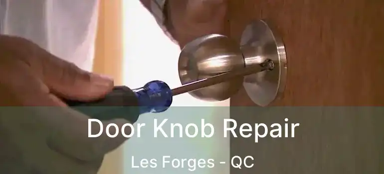  Door Knob Repair Les Forges - QC