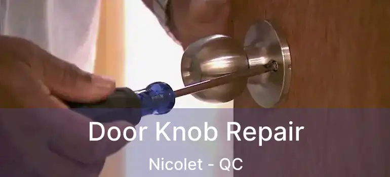  Door Knob Repair Nicolet - QC