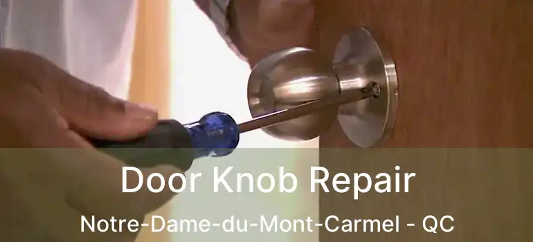  Door Knob Repair Notre-Dame-du-Mont-Carmel - QC