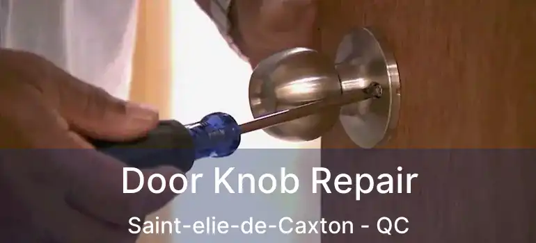  Door Knob Repair Saint-elie-de-Caxton - QC