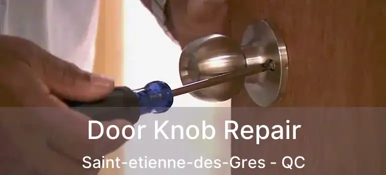  Door Knob Repair Saint-etienne-des-Gres - QC