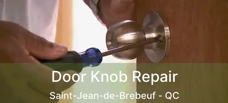  Door Knob Repair Saint-Jean-de-Brebeuf - QC