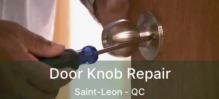  Door Knob Repair Saint-Leon - QC