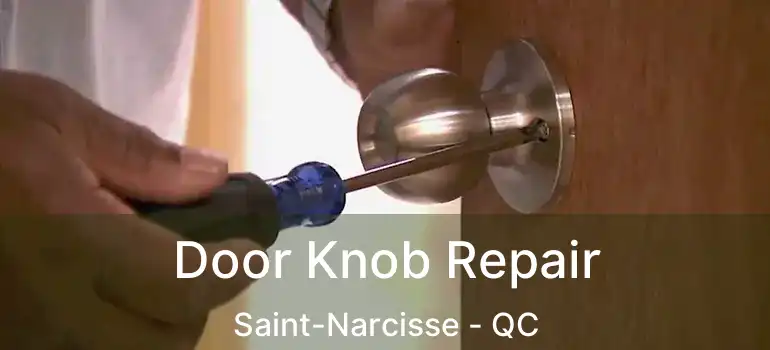  Door Knob Repair Saint-Narcisse - QC