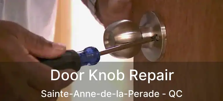  Door Knob Repair Sainte-Anne-de-la-Perade - QC