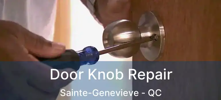  Door Knob Repair Sainte-Genevieve - QC