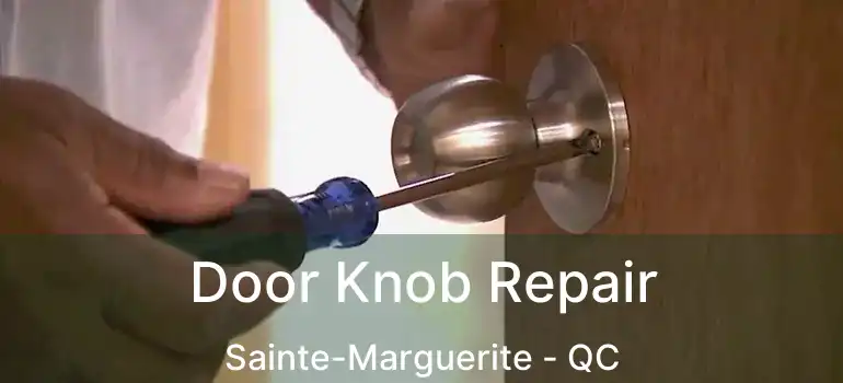  Door Knob Repair Sainte-Marguerite - QC