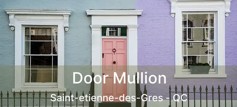 Door Mullion Saint-etienne-des-Gres - QC