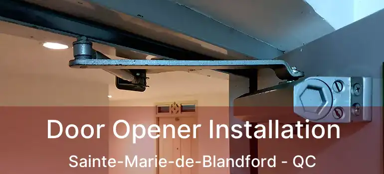  Door Opener Installation Sainte-Marie-de-Blandford - QC