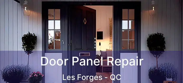  Door Panel Repair Les Forges - QC