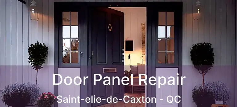  Door Panel Repair Saint-elie-de-Caxton - QC
