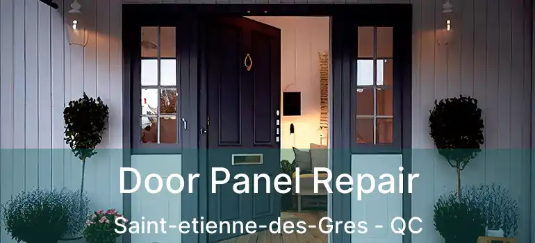  Door Panel Repair Saint-etienne-des-Gres - QC