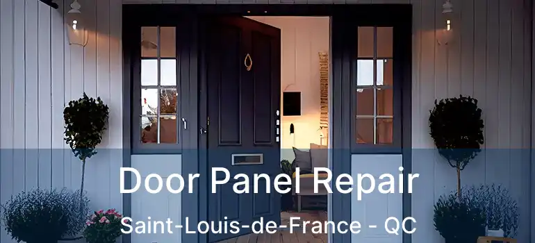  Door Panel Repair Saint-Louis-de-France - QC