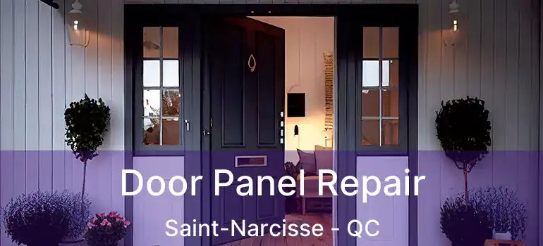  Door Panel Repair Saint-Narcisse - QC