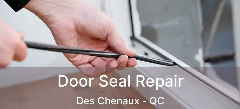  Door Seal Repair Des Chenaux - QC