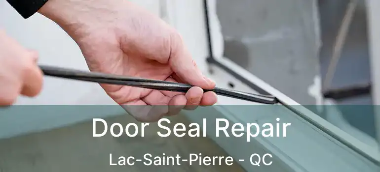  Door Seal Repair Lac-Saint-Pierre - QC