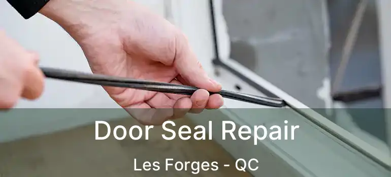  Door Seal Repair Les Forges - QC