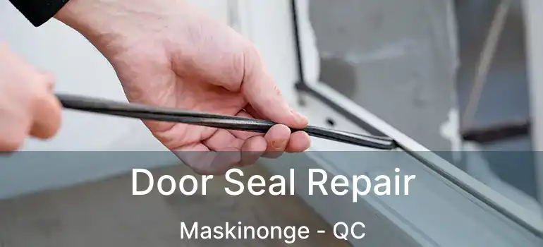  Door Seal Repair Maskinonge - QC
