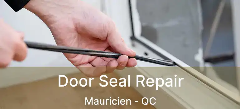  Door Seal Repair Mauricien - QC