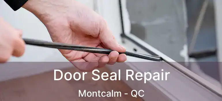  Door Seal Repair Montcalm - QC