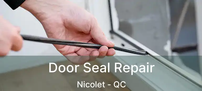  Door Seal Repair Nicolet - QC