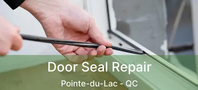  Door Seal Repair Pointe-du-Lac - QC