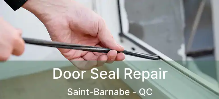  Door Seal Repair Saint-Barnabe - QC