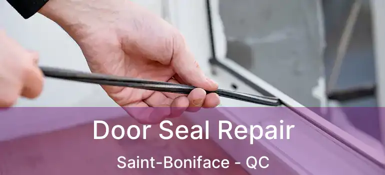  Door Seal Repair Saint-Boniface - QC