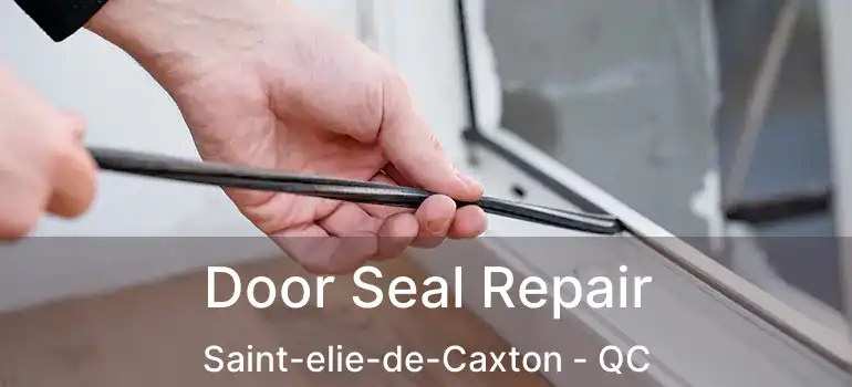  Door Seal Repair Saint-elie-de-Caxton - QC