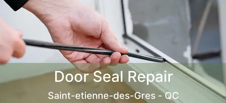  Door Seal Repair Saint-etienne-des-Gres - QC