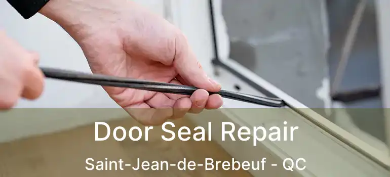  Door Seal Repair Saint-Jean-de-Brebeuf - QC