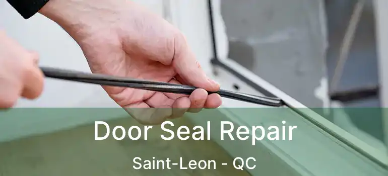 Door Seal Repair Saint-Leon - QC