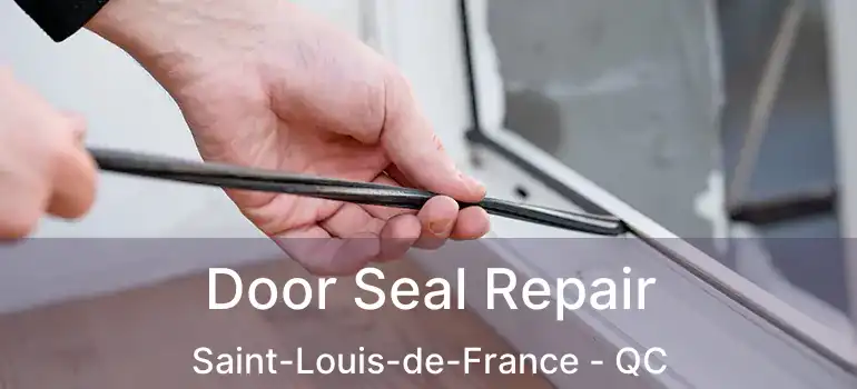  Door Seal Repair Saint-Louis-de-France - QC