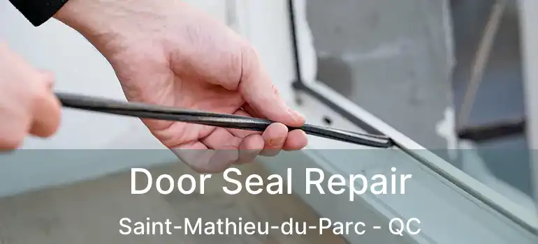  Door Seal Repair Saint-Mathieu-du-Parc - QC