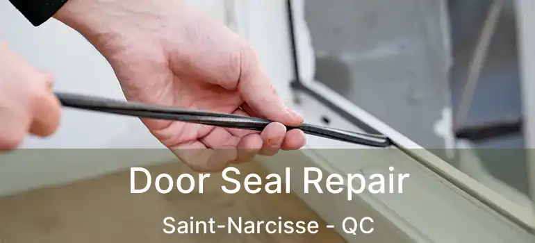  Door Seal Repair Saint-Narcisse - QC
