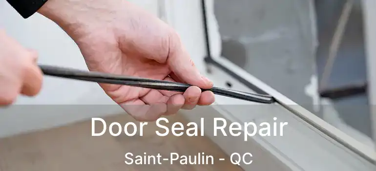  Door Seal Repair Saint-Paulin - QC