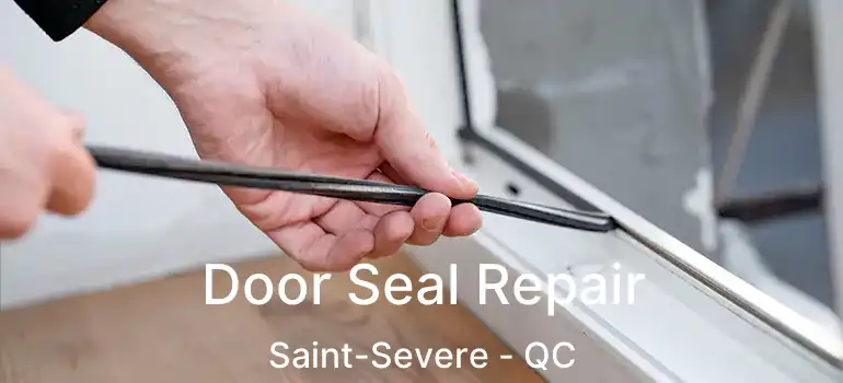  Door Seal Repair Saint-Severe - QC