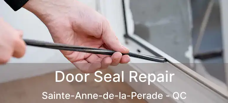  Door Seal Repair Sainte-Anne-de-la-Perade - QC