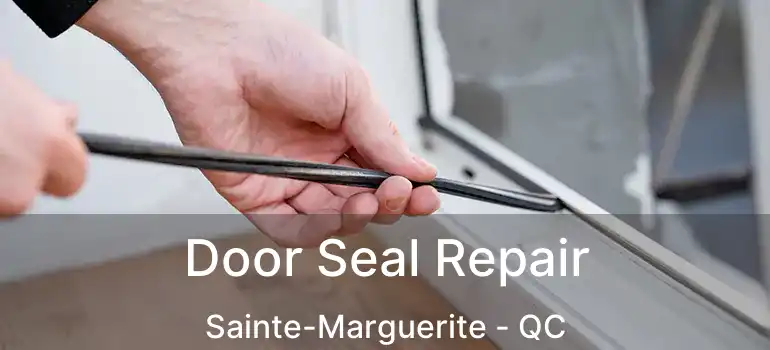  Door Seal Repair Sainte-Marguerite - QC