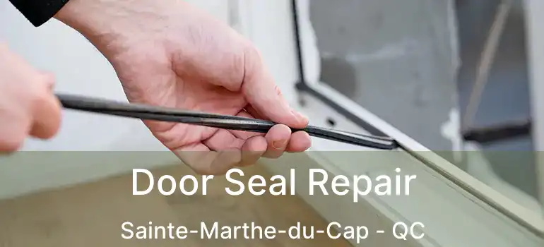  Door Seal Repair Sainte-Marthe-du-Cap - QC
