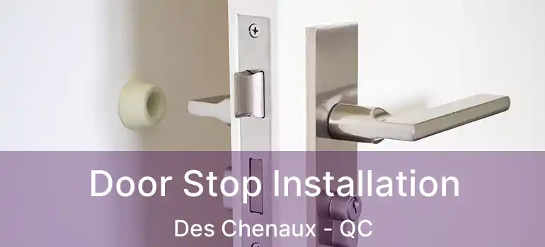  Door Stop Installation Des Chenaux - QC