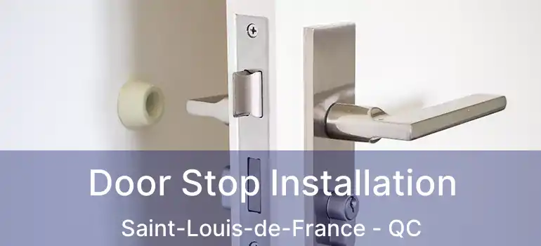  Door Stop Installation Saint-Louis-de-France - QC