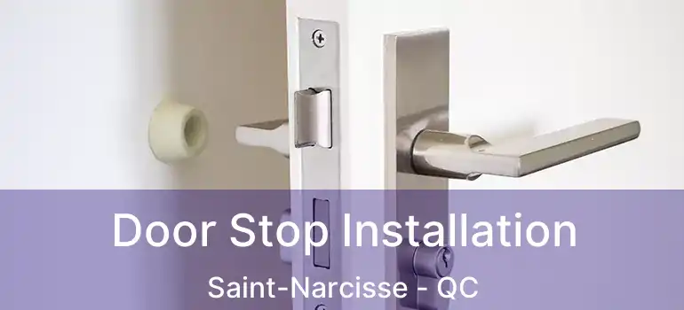  Door Stop Installation Saint-Narcisse - QC