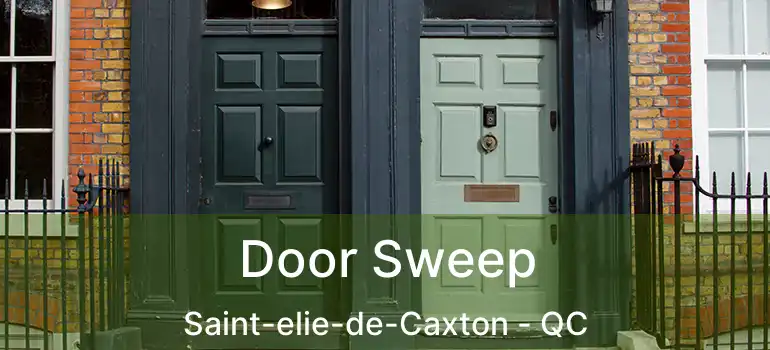  Door Sweep Saint-elie-de-Caxton - QC