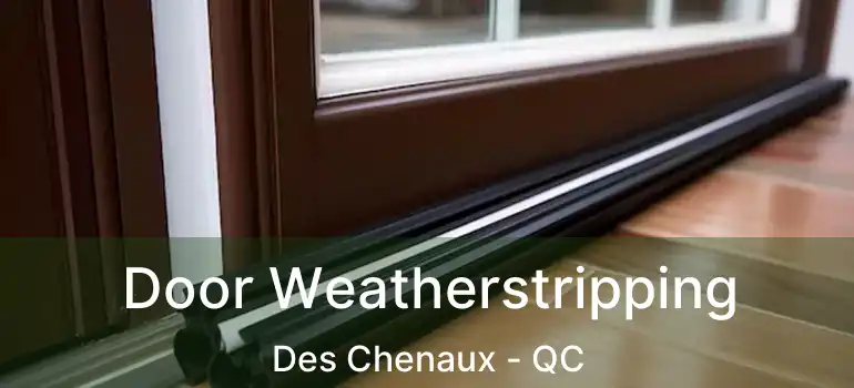  Door Weatherstripping Des Chenaux - QC